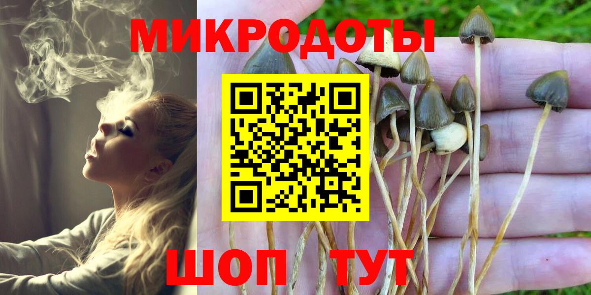 Псилоцибиновые грибы MAGIC MUSHROOMS  Вход с VPN  Янаул 